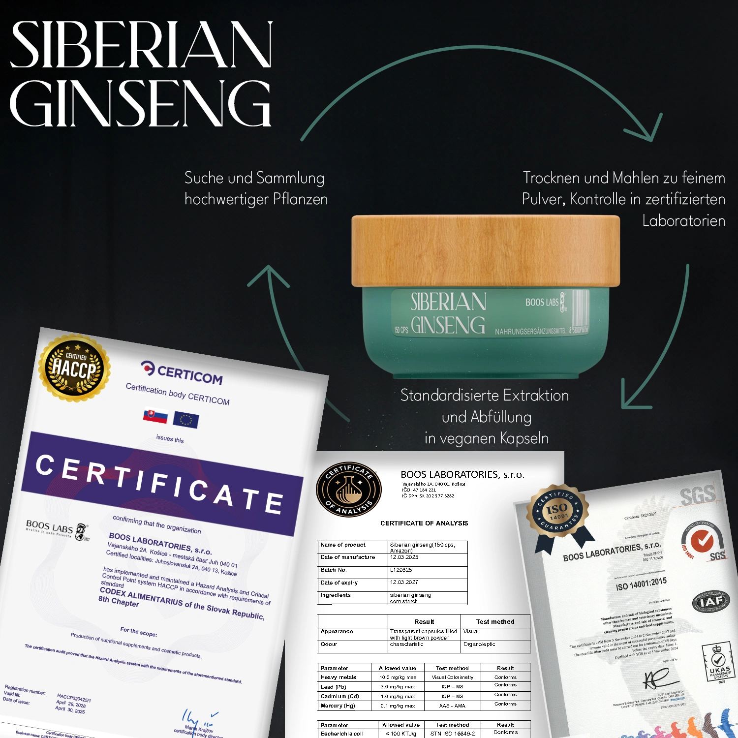 Sibirischer Ginseng 150kps – Bild 7